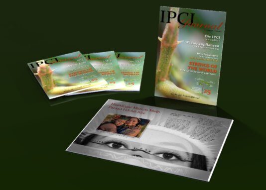 IPCI Journal · 1 / 2025