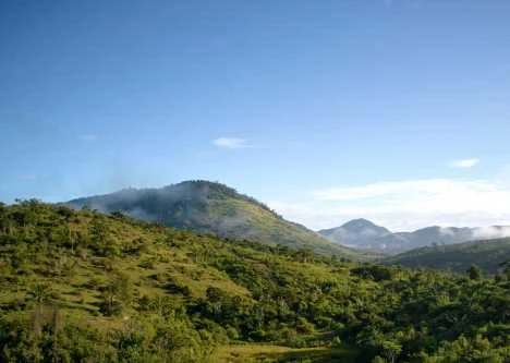 Aerial view of the Pataxó Hã-Hã-Hãe Caramuru community.